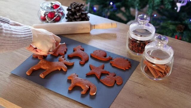 Women's hands coloring Christmas gingerbread cookies at home in slow motion. Christmas decoration in the kitchen. Fir tree with fairy lights. The concept of the New Year and Christmas. Holiday atmosph