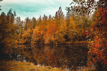 Fototapeta na wymiar In early autumn near a forest arable river
