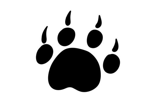 Paw print with claws. Trace of  wild animal. Pawprint of cat, dog, mink, lion, tiger, bear. Vector black icon illustration on a white background.