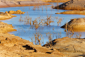 Low levels of water reservoir. Dry climate. Shortage of water. Dead trees. Climate change and global warming. Ecological disaster. Water and river pollution. Arid Climate. There is no planet B.