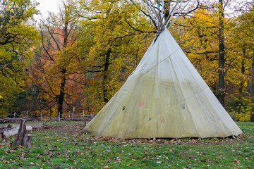 tent in the forest