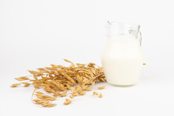 Oat milk in a jug and oat spike on light background. Vegan non dairy alternative milk.