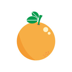 Orange fruit icon illustration logo with simple and minimalist design.