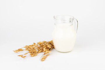 Oat milk in a jug and oat spike on light background. Vegan non dairy alternative milk.