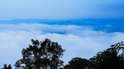Obraz na płótnie Canvas Sea of ​​mist, mountains in the morning, Phu Thok, Chiang Khan in Thailand