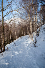 hiking trail through snowy forest with snow, trail for your winter or snowshoe hike in the alps, France