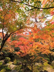 四国八十八ヶ所霊場第88番札所・大窪寺（結願寺）【香川県さぬき市】