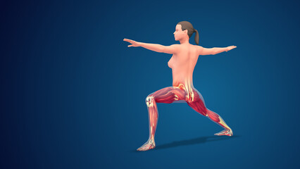 3D human Virabhadrasana II Variation extended warrior yoga pose on blue background