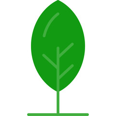 Leaf Icon