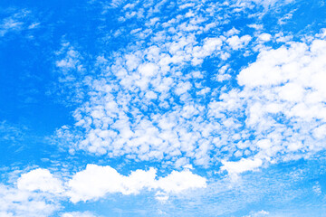 Azure Dreams: The Magic of White Clouds in the Summer Sky