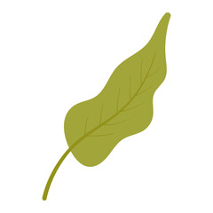 Leaf Flowers Illustration