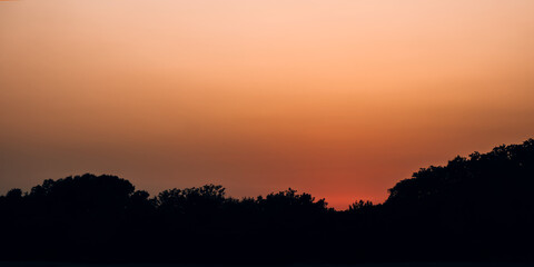 Sunset at mangroves in Qatar