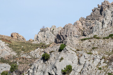Beautiful landscape of the top of a rocky mountain with a group of mountain goats grazing in the Anciles valley, Leon, Spain