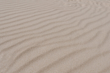 Abstract minimal hot summer vacation texture. Closeup view of beach or desert dune sand waves. Aesthetic neutral colour nature landscape