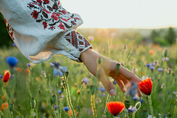 Close up lady caressing poppy concept photo. Beautiful field. Front view photography with sunlit meadow on background. High quality picture for wallpaper, travel blog, magazine, article
