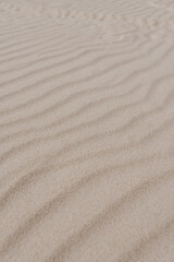 Neutral beige beach sand waves pattern texture. Desert dune sand waves
