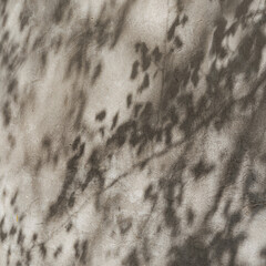 Warm sunlight shadows of tree and leaves on neutral beige concrete wall. Aesthetic nature pattern,...