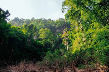 rice terraces island