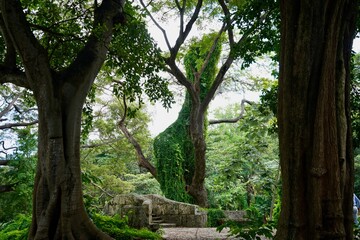 Havana Cuba 2022 November