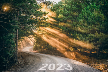 2023 written on forest road at sunset. Concept for new year 2023.