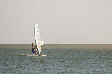Adult man windsurfing in the sea