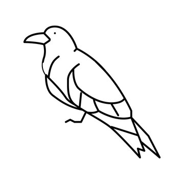 recommend clip art: inca tern bird exotic line icon vector illustration