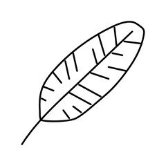 banana tropical leaf line icon vector illustration