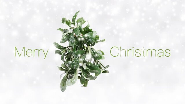Merry Christmas text and green mistletoe with white berries isolated on snowing background, white Christmas concept template for greeting gift card or promotion advertising banner