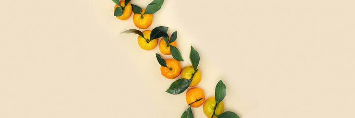 Long banner with orange yellow tangerines with green leaves on neutral beige background. Citrus...