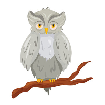 Gray owl on branch of tree