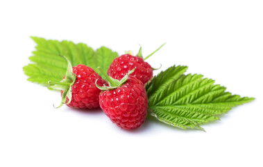 Raspberry with leaves. Raspberry isolated on white background.