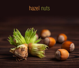 Plakat Organic fresh hazelnut on wooden background close up