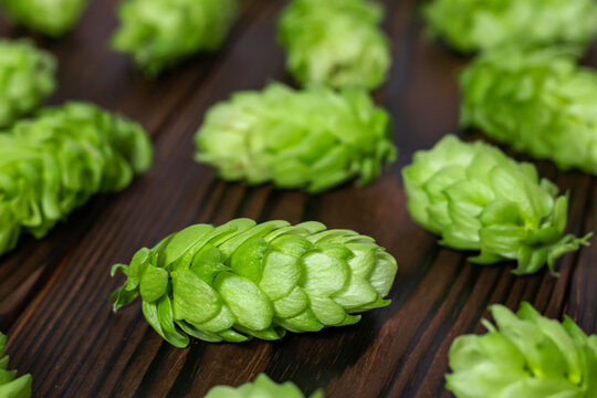 Fresh green hops on a wooden table. close up