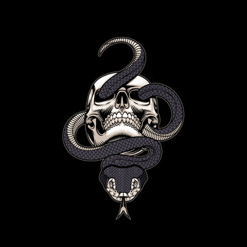 viper snake coiled skull illustration print design logo