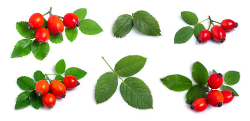 rose hip berry with leaf isolated on white background. Set or collection