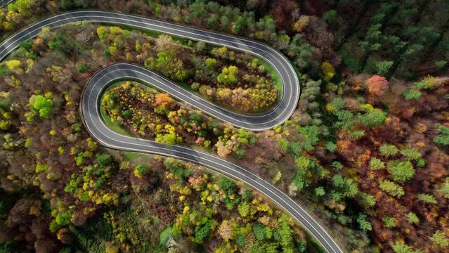 Colourful winding road with many curves surrounded by a deciduous woodland with pine trees. Aerial view looking down in europe.