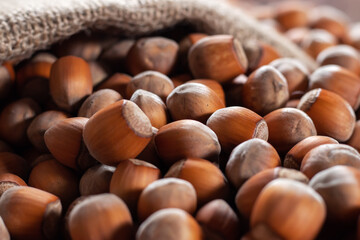 Hazelnuts, filbert on old wooden table. heap or stack of hazel nuts. Hazelnut background, healty food