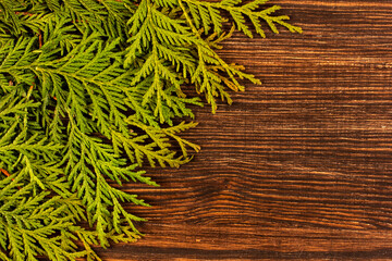  branch of fir tree on  wooden background