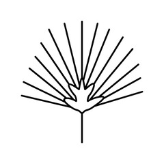 chamaerops tropical leaf line icon vector illustration