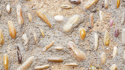 Detalle de suelo para fondos del castillo de Altafulla, Tarragona, Catalunya, España, Europa
