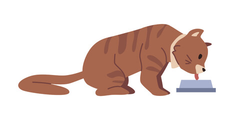 Cat eating or drinking water from bowl, isolated kitten feline animal leisure and every day life. Kitty domestic pet nourishment. Vector in flat style