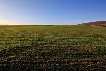 Fototapeta na wymiar Fields near Svidnik at Slovakia.