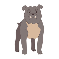 Bulldog breed of canine animal, isolated portrait of puppy character. Doggo personage, cute pup. Domestic pet, mammal with sturdy smooth hair. Vector in flat style