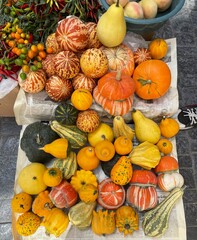 pumpkins and gourds