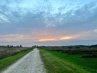 Naklejka premium road in the field