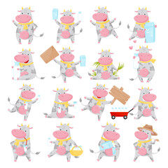 Cute Cow as Domesticated Animal with Hooves Chewing Grass and Drinking Milk Vector Set