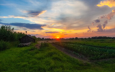 Fototapeta premium Landscape with sunset in the village in summer