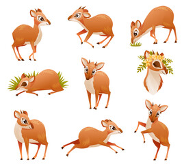 Brown Dik-dik as African Small Antelope with Horns in Different Pose Vector Set