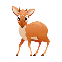 Standing Brown Dik-dik as African Small Antelope with Horns Vector Illustration