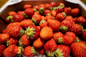 Harvesting strawberries in a box in spring.